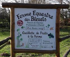 Ferme Equestre des Bleuets - Fabienne Hagneaux Ferme Equestre des Bleuets - Fabienne Hagneaux