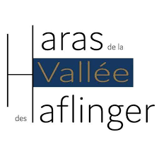 Haras de la vallée des Haflinger Haras de la vallée des Haflinger