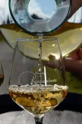 Dégustation de vin : Rochambeau 